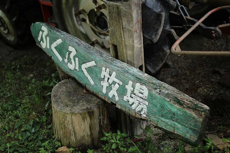 牛の乳搾り体験ができるふくふく牧場～広島県庄原市口和町