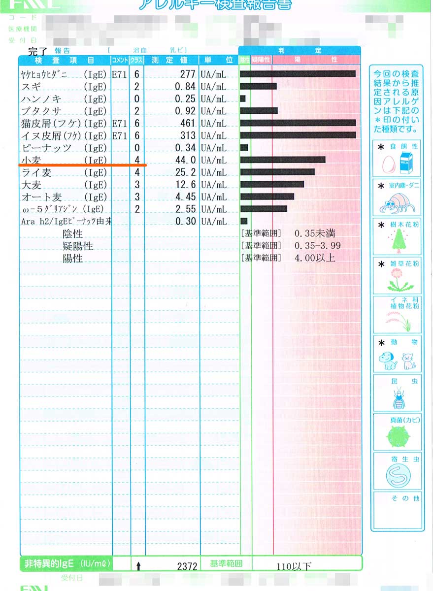 【食物アレルギー】息子のアレルギー数値の現状