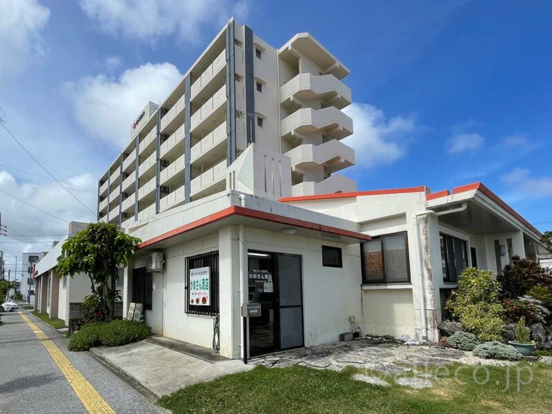 食物アレルギー対応食品専門店かめさん商店の外観｜沖縄県糸満市