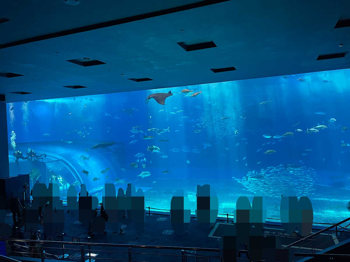 【小麦アレルギー対応】美ら海水族館→タコライス ～ 小麦アレルギーっ子と沖縄へ家族旅行に行ってきました