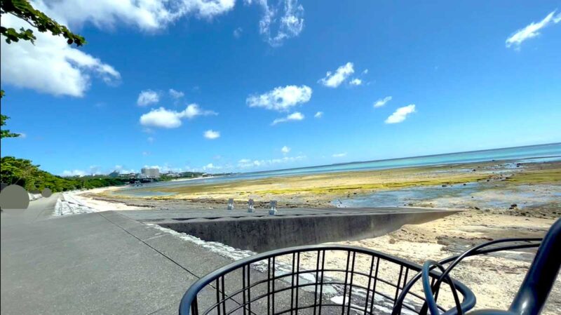 【体験談】フクギ並木サイクリング|食物アレルギーっ子と沖縄家族旅行