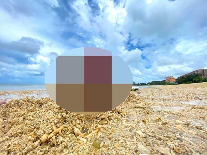 恩納村のビーチで貝集めをする長男