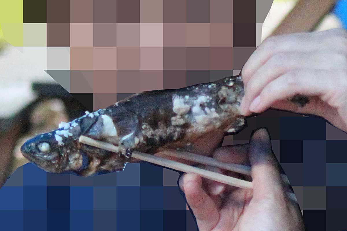 小さな子供から遊べる帝釈峡水辺公園～広島県神石郡神石高原町