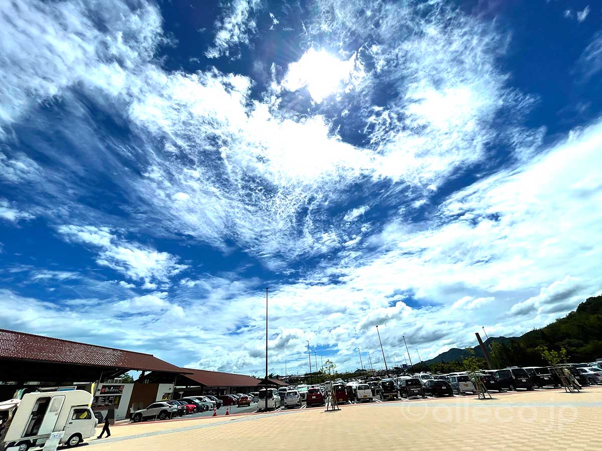【小麦アレルギー対応】道の駅西条のん太の酒蔵で米粉うどん～東広島市西条町寺家