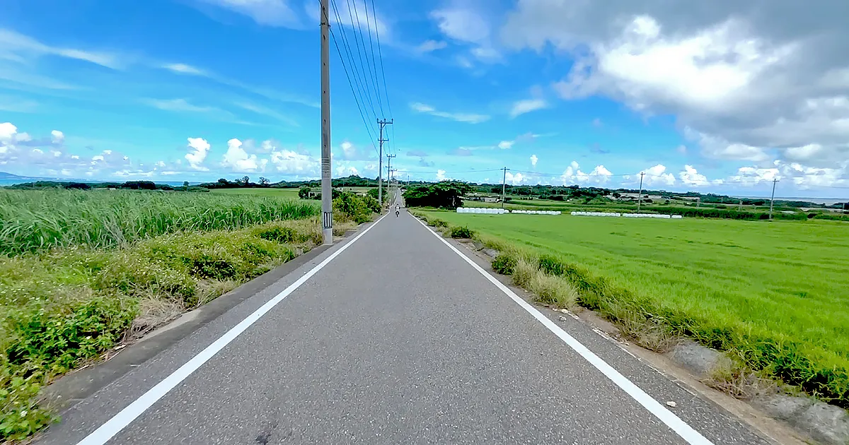 【石垣島旅行2日目】小浜島を自転車で探検！シュガーロードと絶景ビーチを巡った離島デー