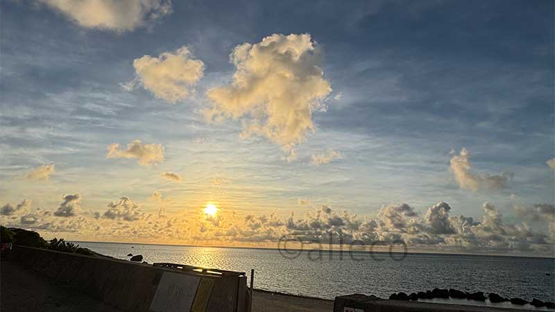 【Day2詳細記事】灼熱サイクリングの先にあった絶景!小浜島シュガーロードとニシノハマを巡った1日リンク