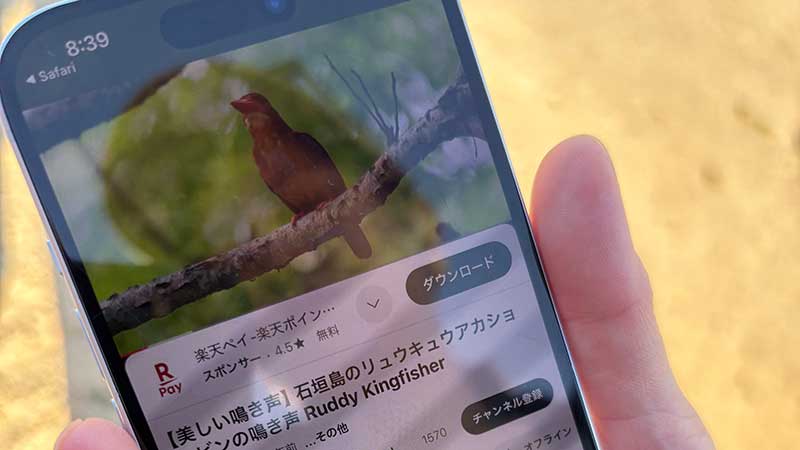 【Day3詳細記事】一から予定組みなおし!宿のトラブルから始まった石垣島北部の探検|サビチ鍾乳洞と心に残る出会いの1日
