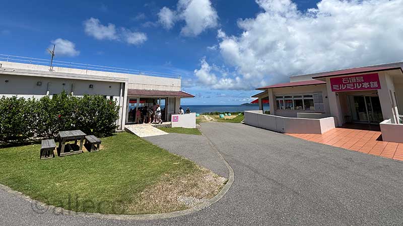 【Day4詳細記事】石垣島の人気観光地を巡る1日｜予定外の出来事を乗り越えながら巡った観光デー