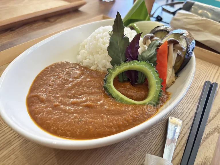 てぃーだ食堂のグルテンフリー旨辛ジンジャーカレー