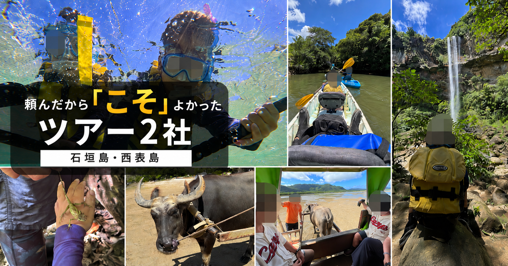 石垣島・西表島で家族で体験したシュノーケリング、カヌー、滝、水牛車ツアーのアイキャッチ画像