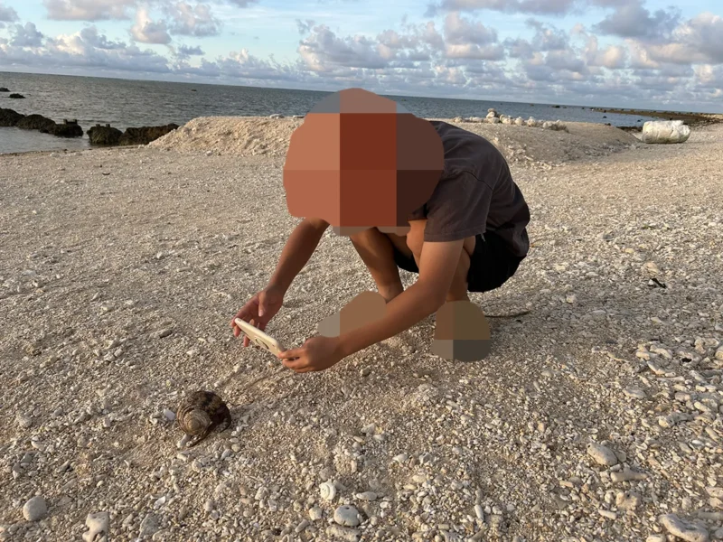 白保海岸でヤドカリを撮影 白保海岸で大きなヤドカリをスマートフォンで撮影する子ども