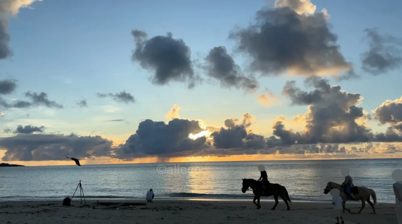 朝焼けの明石海岸を歩く馬 朝日の明石海岸を馬に乗って歩く人たち